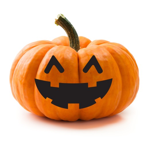 NÁLEPKA HALLOWEEN NA OKENNÉ TEKVICE WZ-9