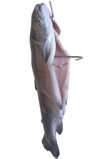 H-328-D Veľký háčik na údenie veľkých rýb do 9 kg