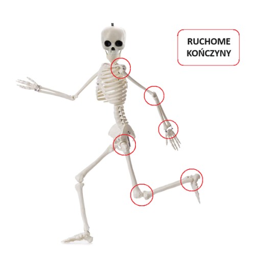 HALLOWEENSKÝ KOSTR ZÁVISNÝ DEKORÁCIA 40 CM