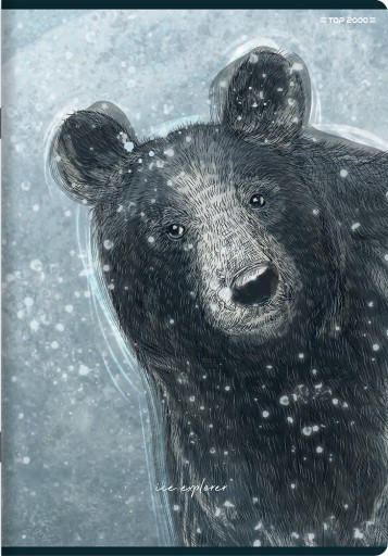 TOP 2000 NOTEBOOK FOREST ICE A5 32 mriežka S OKRAJOM