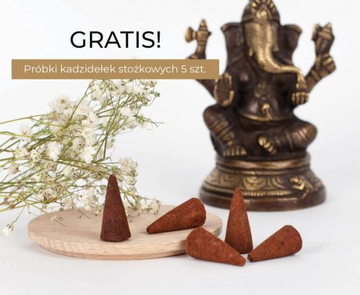 Bio čaj Rooibos (17x1,8g)