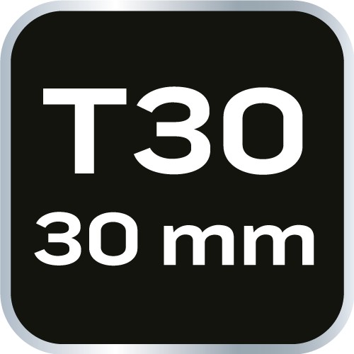 Bit TORX T30 x 30 mm, S2 x 2 ks.