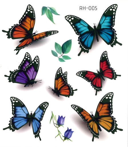 Odnímateľné tetovanie pre deti BUTTERFLIES RH005