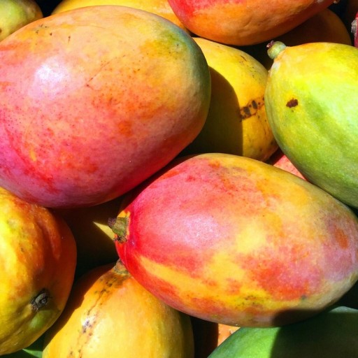 FRUTTAMAX MANGO SODASTREAM SIRUPOVÝ KONCENTRÁT