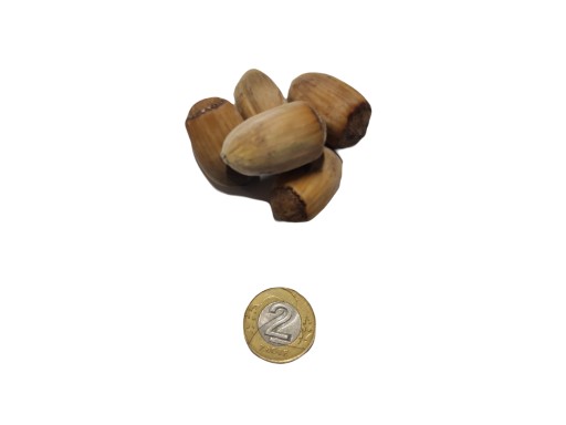 LIESKOVÉ ORIEŠKY V LÚPE VEBA DRAHÁ VEĽKÁ 1KG