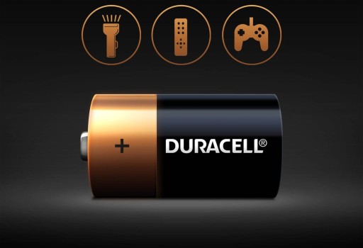 2x ALKALICKÉ BATÉRIE DURACELL D LR20 Blister