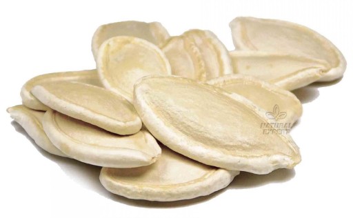 SEMIENKA POĽSKEJ TEKVINY, NELÚPANÉ, 500g