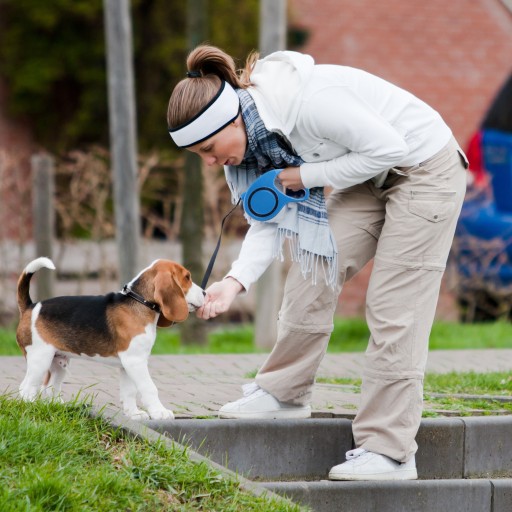 VODÍTKO PRE PSA MAČKU AUTOMATICKÁ PEVNÁ PÁSKA 5M SO ZÁMKOM 15KG
