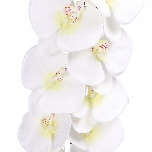 ORCHIDEA ORCHIDEA Vetvička LIVING QUALITY 90cm
