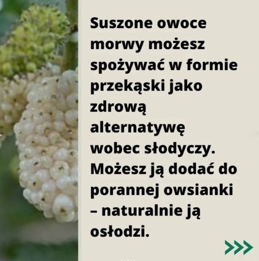 Sušená moruša biela 500g Vitamín B