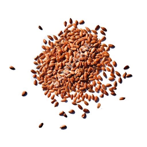 Ľanové semiačka pre kone - POĽSKÉ 1,2kg SAMFARM