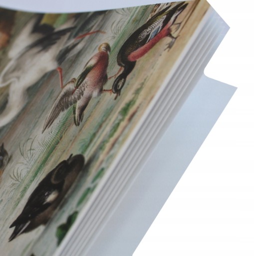 Skicovací blok MUSE SKETCHBOOK A5+/40 LIST/100G