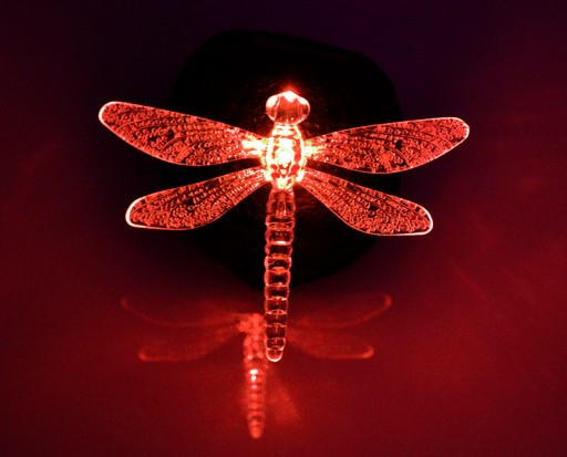 LED solárne svietidlo BUTTERFLY DRAGONFLY na kameni RGB P-605