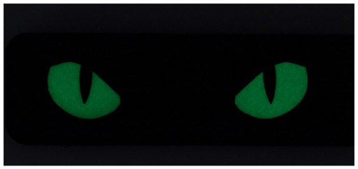 Fluorescenčná náplasť M-TAC COYOTE CAT EYES