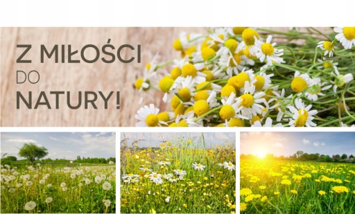 Koreň púpavy BIO 50 Runo EKO CERTIFIKÁT