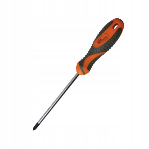 KRÍŽOVÝ SKRUTKOVAČ PH2x100MM RICHMANN C5204