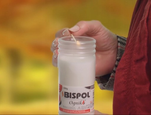 Ognik 1x liata vložka WP2N 2 dni 100% PL