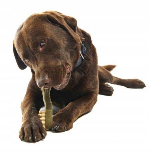 WHIMZEES DENTASTIX DENTAL CHEECH DOG 1 ks S
