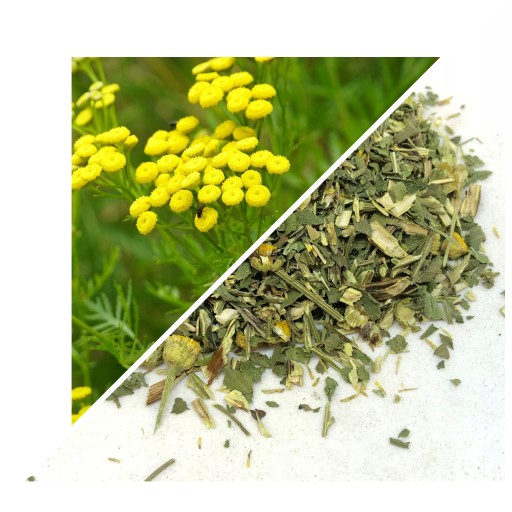 TANSASE HERB TANSAS 50 G - LUBLIN HERBARIAN