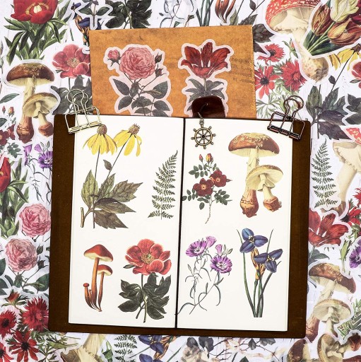 Nálepky na scrapbooking pre deti Rastliny Kvety