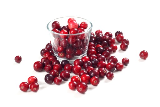 SUŠENÉ BRUSNICE 500g prírodné z USA BIOSWENA