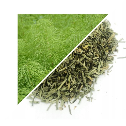 Bylina praslička roľná, rezaná, 500 g - Lublinský herbár