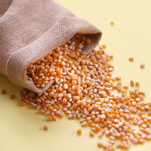 POPCORN 1 KG KUKURIČNÝCH ZRNKOV NA POPING BEZ SOLI