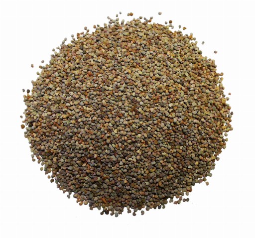 Mak záhradný modrý ópiový - semená - 1000g 1kg