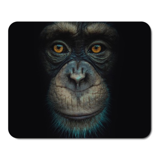 WILD ANIMALS CHIMpanzee podložka pod myš