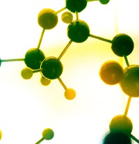 Krmivo HAPPY DOG Mini Baby Junior pre malých psov 300 g