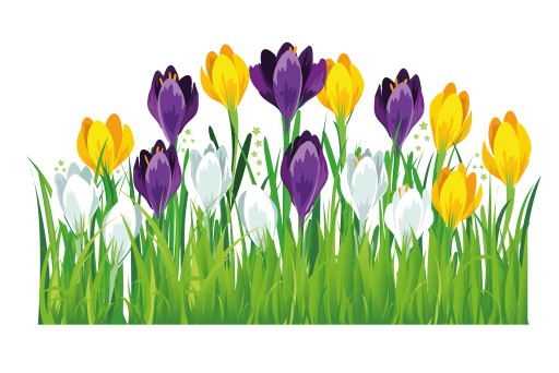 OBOJSTRANNÁ JARNÁ DEKORÁCIA NA OKIENKO - LÚČNE CROcuses (2 KS) - LearnHow