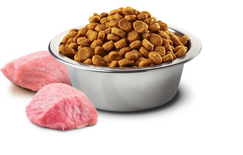Farmina N&D Prime suché krmivo pre mačky jahňacie s čučoriedkami 300 g hm