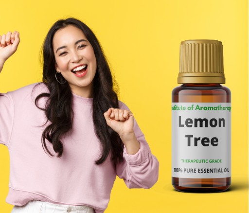 LEMON TREE olej osviežuje a dezinfikuje vzduch