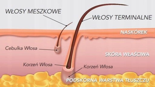 ITALWAX depilačné voskové perly Čokoládové kvapky