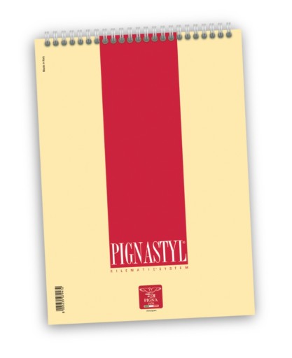 NOTEBOOK NOTEBOOK A5 60K PIGNA LINE STYLE 0215627C