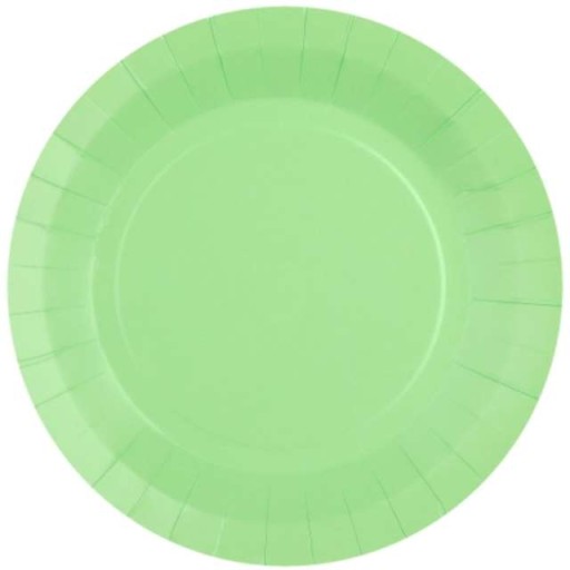 DEKORATÍVNE farebné MINT papierové TANIERE x10