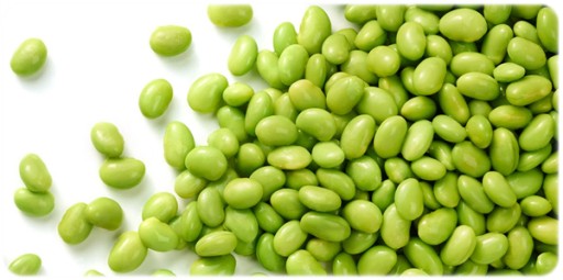 Edamame fazuľa v obale Wasabi 140g