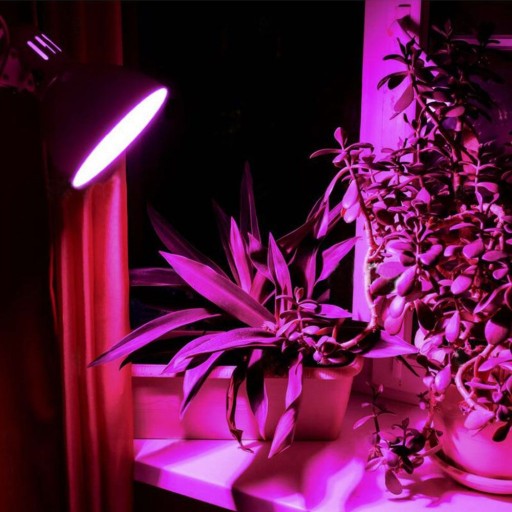 RASTOVÁ ŽIAROVKA VIDEX LED E27 9W LAMPA NA RAST RASTLÍN FITOLAMPA
