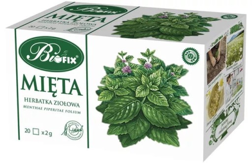 Bi Fix Herbal Tea Mint 20TB