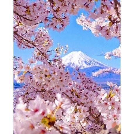 Diamantové vyšívanie Diamantová maľba Mozaika Diamantový set 5D Cherry Blossom
