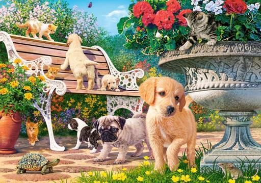 Puzzle 500 Hide and Seek. B-53636. Castor