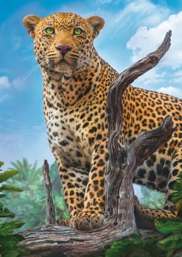 KOCKY PUZZLE POHĽAD NA DIVOKÉHO LEOPARDA 500 Ks.