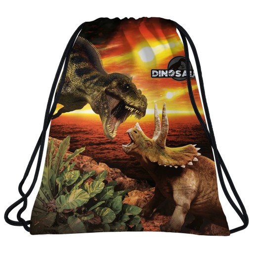 Školská taška na topánky WF Dinosaur pre chlapcov, batoh 2 v 1