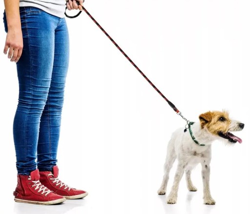 Tréningové vodítko pre psa hrubé lano 1cm 5m 1564