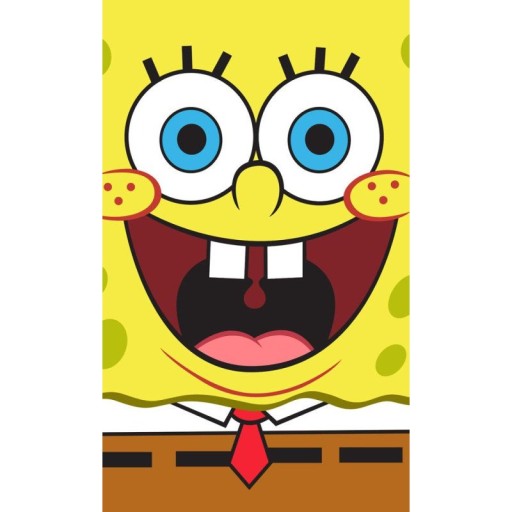 Spongebob Squarepants detský uterák 30 x 50 cm (SBOB192030-R)