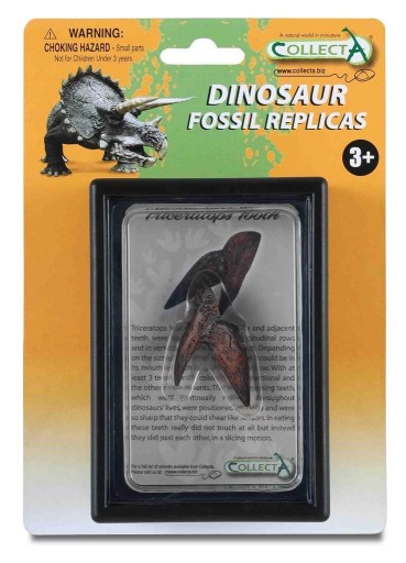 Zub Triceratops Collecta