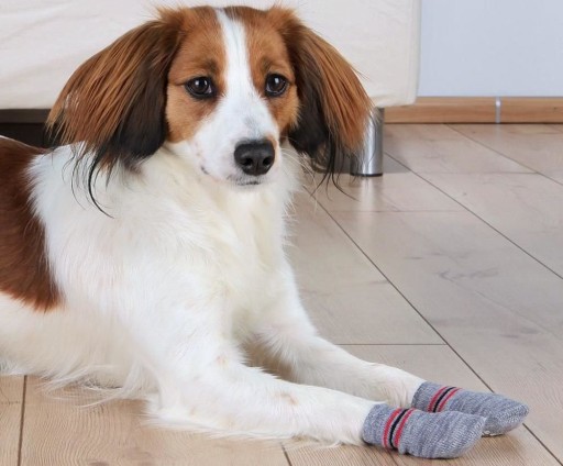 Trixie protišmykové ponožky pre psov, pár M-L