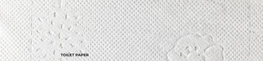 E-TISSUE COMPACT compact 10030 dlhá 30 m (300 lx10)