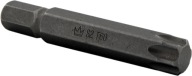BIT END 10MM TORX T60 x 75MM S2 HEX.