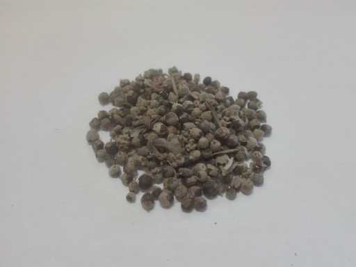 Plody Chasteberry -50g- Dary Podlasie
